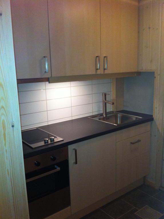 Apartmán Totakbu Rauland Pokoj fotografie